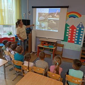 Фотоотчет о занятии «День морских черепах»