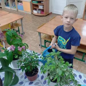 Фотоотчет «Как мы прививаем детям любовь к природе через уход за растениями» в старшей группе