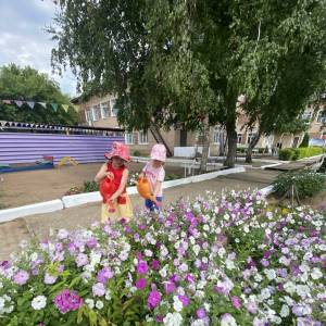 Фотоотчёт о летней прогулке в старшей группе детского сада