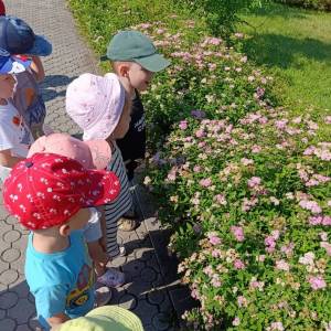 Фотоотчет «Наблюдение за насекомыми в младшей группе»