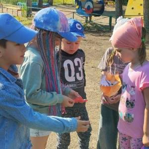 Конспект наблюдения на прогулке за ночной бабочкой Днём для детей 5–6 лет
