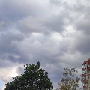 �������� �������� ����������� �� ������ ��� ����� �������� ����������� ��������